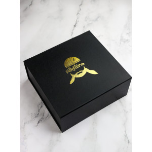 Silkstorm 360 waves beginner Box